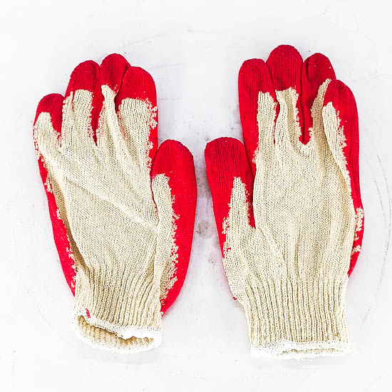 Бээлий /дан алгатай солонгос/