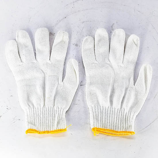 Цагаан бээлий